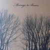 Message to Bears - Sparrow