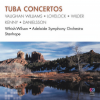 Peter Whish-Wilson、Adelaide Symphony Orchestra、david stanhope - 1. Allegro moderato