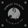 Robert Wilkins - Rolling Stone