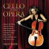 Sally Maer、Tasmanian Symphony Orchestra、Andrew Greene - O mio babbino caro (Arr. For Cello And Orchestra)