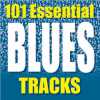 Muddy Waters - Mannish Boy
