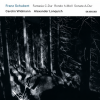 Carolin Widmann、alexander lonquich - Schubert: Fantasy in C Major, D. 934: I. Andante molto –