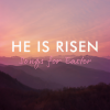 Crowder、Tauren Wells - All My Hope