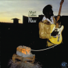 albert collins - Honey, Hush aka Talking Woman Blues