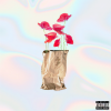 Yoshi Flower - Brown Paper Bag (Explicit)