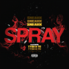 Sneakk、Tyga、YG - Spray (Explicit)