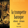 Maurice Andre、Collegium Musicum de Paris、Roland Douatte - Adagio in G Minor for Organ and Strings (Arr. for trumpet and strings A. Roizenblat)