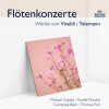 michael copley、camerata bern、Thomas Furi - 1. Allegro non molto