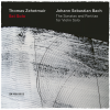 thomas zehetmair - J.S. Bach: Sonata No. 1 for Solo Violin in G Minor, BWV 1001: I. Adagio