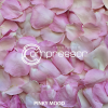 Jon Rich、Shugar House - Love Lemon (Sugar House Radio Remix)