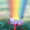 Louis The Child、COIN - Self Care