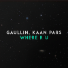 Kaan Hatirnaz、Linas Gaudutis、Gaullin、Kaan Pars - Where R U