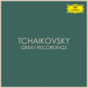Mikhail Pletnev、Russian National Orchestra - 3e. Pas de six: Variation III (睡美人，作品66 - 第3e首 六人舞：变奏3 - 面包屑仙女(食物精灵)的表演)(Falling Crumbs)