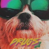 Bryce Vine - DRUGS