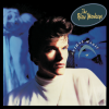 the blow monkeys - Digging Your Scene
