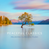 NDR Radiophilharmonie、Max Richter、Eldbjørg Hemsing、Michael England - Spring I