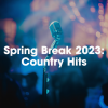 Luke Bryan - Country Girl (Shake It For Me)