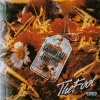 the fool - MAESTRO (Explicit)