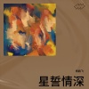 杨鹏飞 - 星誓情深