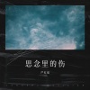 严红强 - 思念里的伤