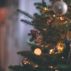 Neuro4typical - Jingle Bells