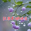 追梦 - 往事不堪回首 (男版)