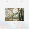 Fabri - autumn