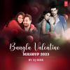 Prasenjit Mallick、Dipanwita Chowdhury、Pritam Kumar、Ananya Das、Arijit Singh、akriti kakar、DJ Rink - Bangla Valentine Mashup 2023