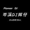 岑溪DJ辉仔 - 你看到的我 (岑溪DJ辉仔 remix)