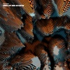 Aria Des - Prophecy