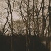 samsdiary、midsxmmr - OUT OF STATE (Explicit)