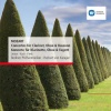 Berliner Philharmoniker、Herbert von Karajan、Gunter Piesk - I. Allegro (1987 - Remaster)
