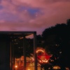 영소 - Dandelion Seeds