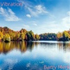 Barry Merk、Vibration - Vibration