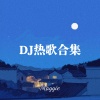 Maggie - 爱情骗子请你离开我 (DJ版)