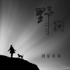刘家奇阿 - 野狗