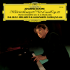 eugen jochum、emil gilels、Berliner Philharmoniker - Brahms: Piano Concerto No. 1 in D Minor, Op. 15 - I. Maestoso - Poco più moderato (D小调第1号钢琴协奏曲，作品15 - 第一乐章 庄严的)