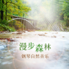 钢琴自然音乐 - 小星星