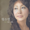 왕소연 - 로망