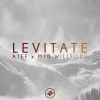 MTB Willford、Atef - Levitate (with MTB Willford)