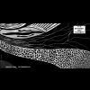 Jonas Volkenborn - Bramarbas (Original Mix)