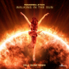 Paranormal Attack、Soul Shine - Walking In The Sun (Soul Shine Remix)