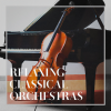 Philharmonia Cassovia、Andrew Mogrelia - 21 Hungarian Dances, WoO 1: Hungarian Dance No. 13 in D Major