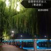 夏遇明 - 容易受伤的女人