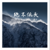 猫九 - 绝不低头
