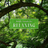 Ambient Sounds from I’m In Records - Jungle Sounds for Relaxing, Pt. 1