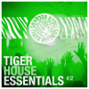 the dukes、Ashleigh - Sing It Back (The Bt Project Remix)
