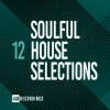 Black Joker、Petmuso - Come Back (Original Mix)