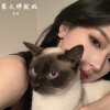 是颜 - 爱我的人和我爱的人 (弹鼓版)