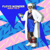 FLOYD WONDER - back to it